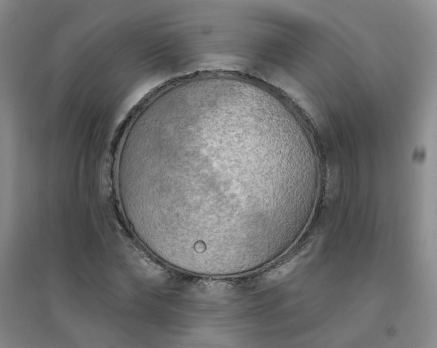 X0000094420878200711151318