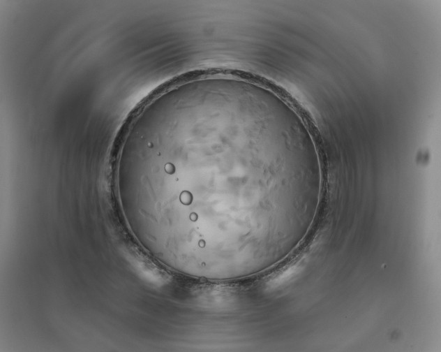 X0000094420879200711151318