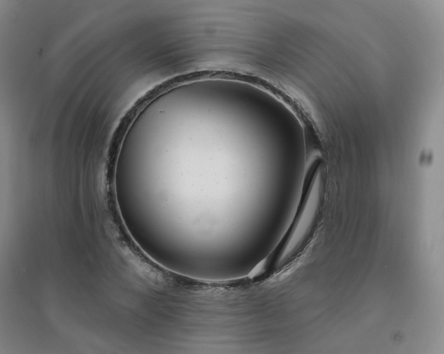 X0000094420880200711151318