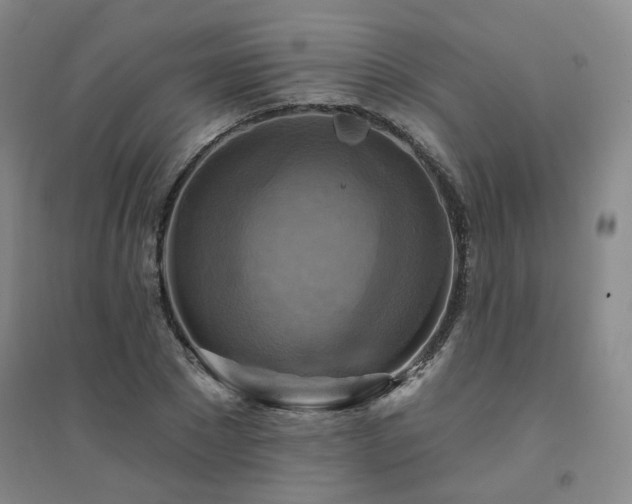 X0000094420881200711151318