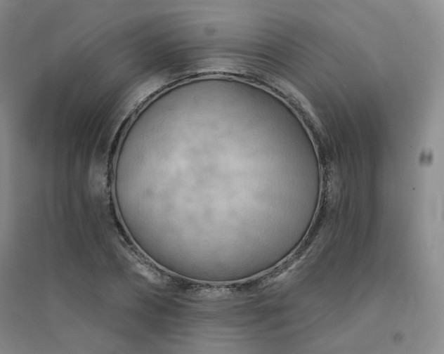 X0000094420882200711151318
