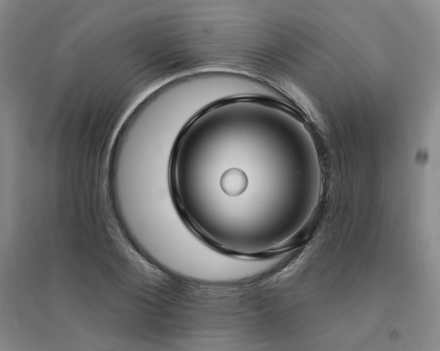 X0000094420884200711151318