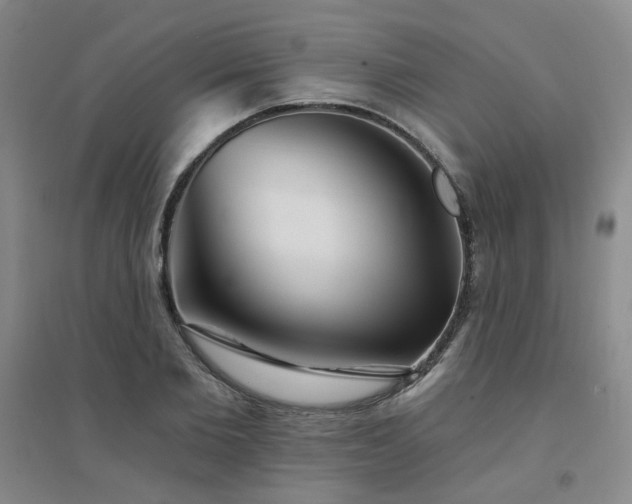 X0000094420885200711151318