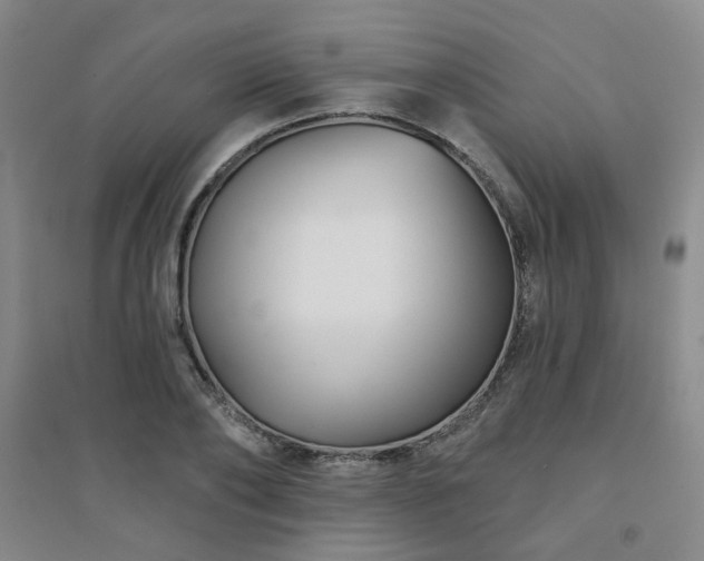 X0000094420886200711151318