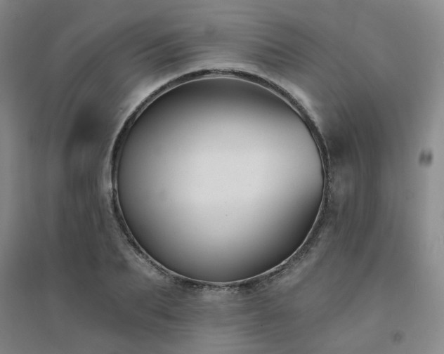 X0000094420887200711151318