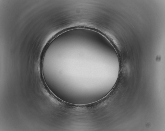 X0000094420888200711151318