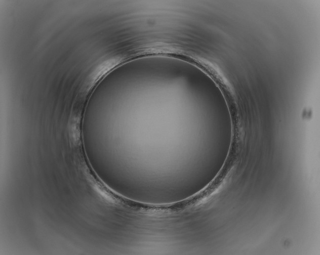 X0000094420889200711151318