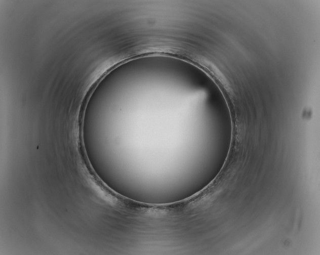 X0000094420890200711151317
