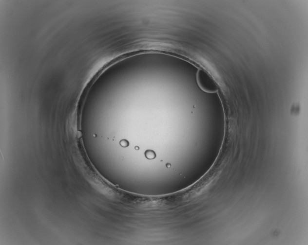 X0000094420891200711151317