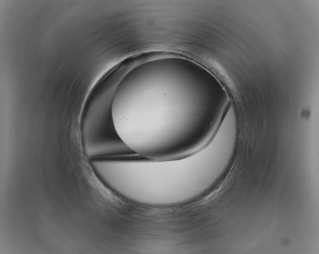 X0000094420892200711151317