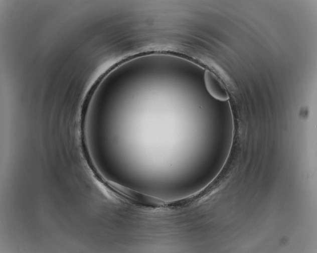 X0000094420894200711151317