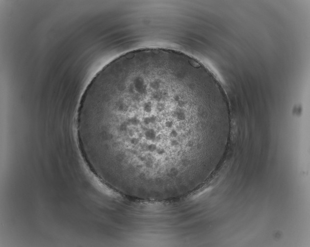 X0000094420895200711151317