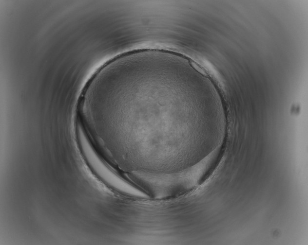 X0000094420896200711151317
