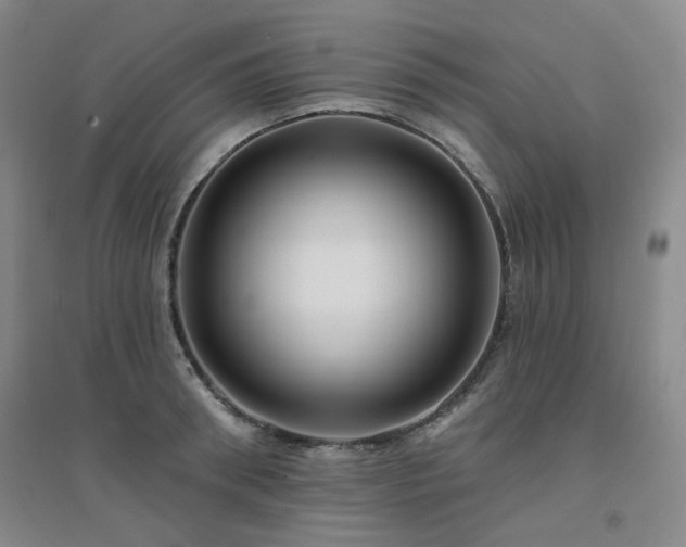X0000094420898200711151317