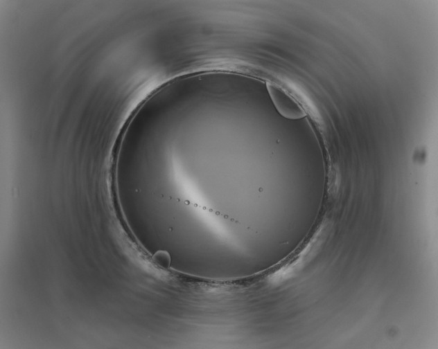 X0000094420899200711151317