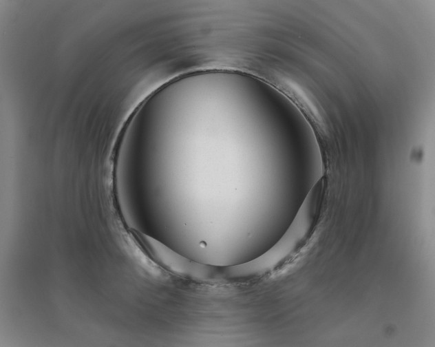 X0000094420900200711151317