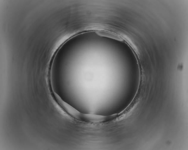 X0000094420901200711151317