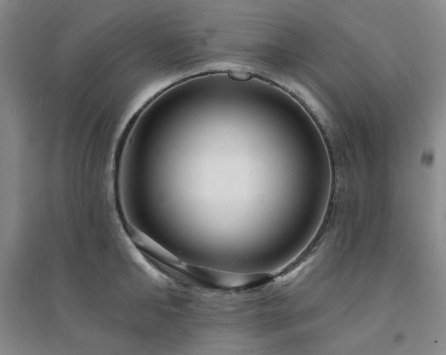 X0000094420902200711151317