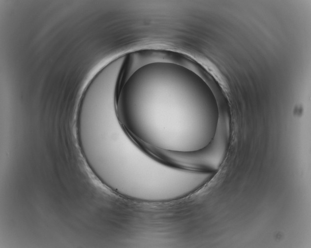 X0000094420904200711151317