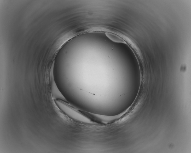 X0000094420905200711151317