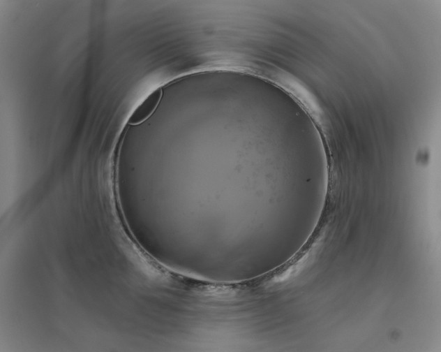 X0000094420907200711151317