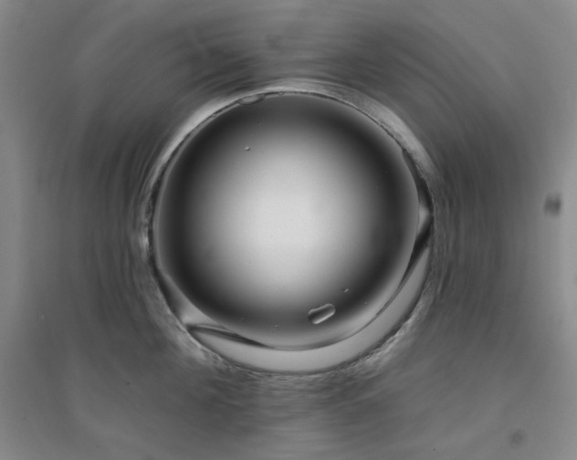 X0000094420908200711151317
