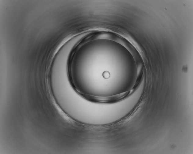 X0000094420909200711151317