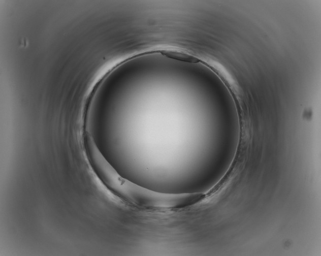 X0000094420910200711151317