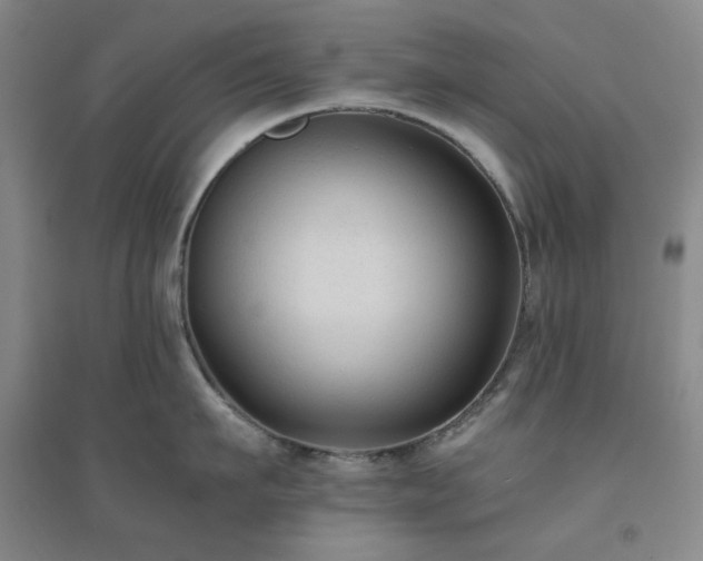 X0000094420911200711151317
