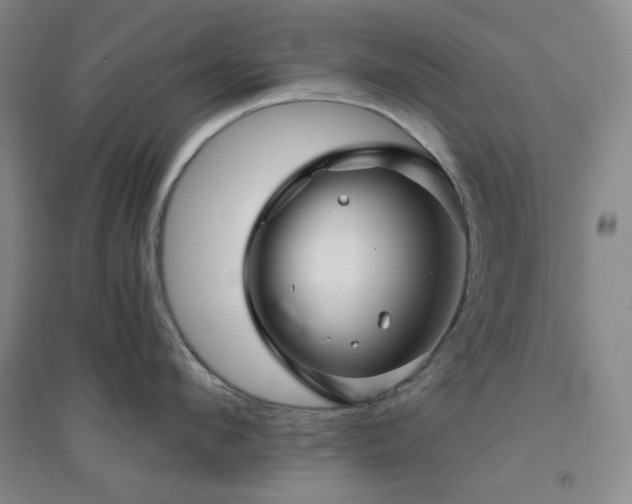 X0000094420912200711151317
