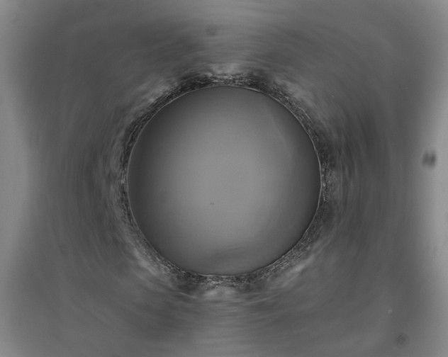 X0000094420913200711151316