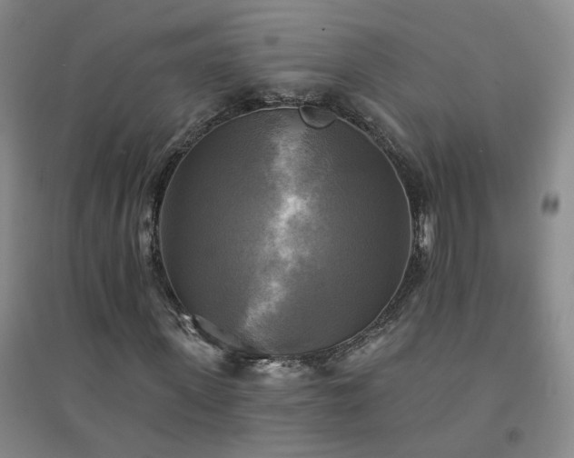X0000094420915200711151316