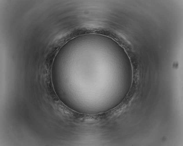 X0000094420917200711151316