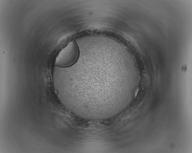 X0000094420918200711151316