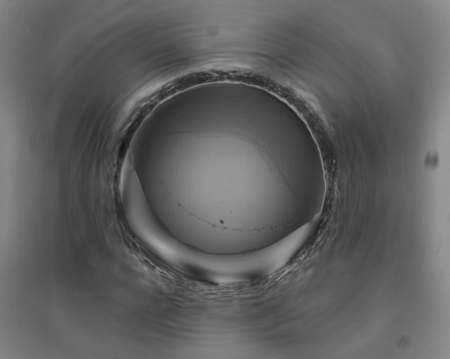 X0000094420920200711151316