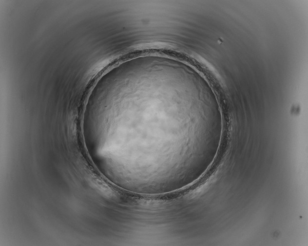X0000094420921200711151316