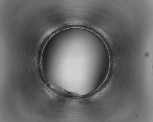 X0000094420922200711151316