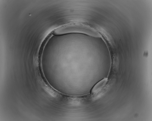 X0000094420924200711151316