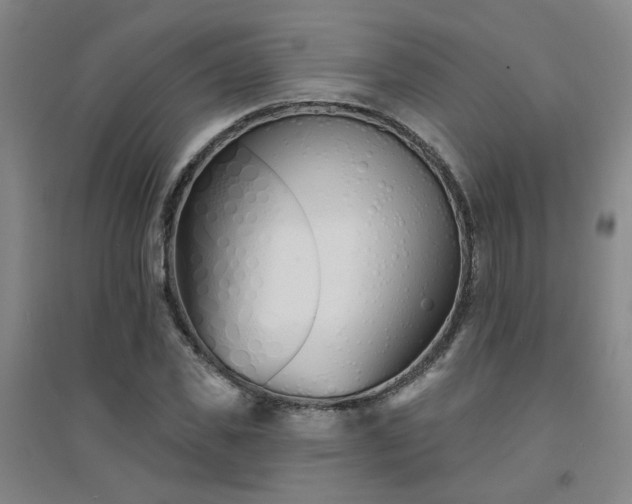 X0000094420925200711151317