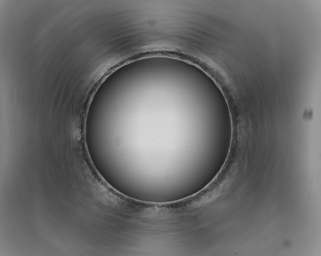 X0000094420929200711151317