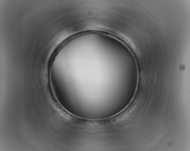 X0000094420931200711151317