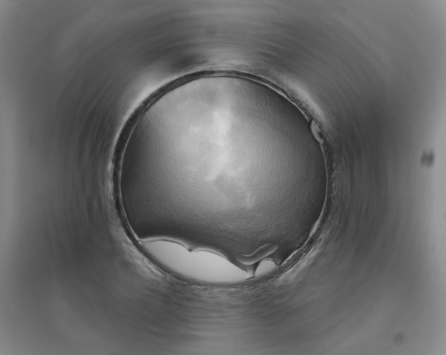 X0000094420932200711151317