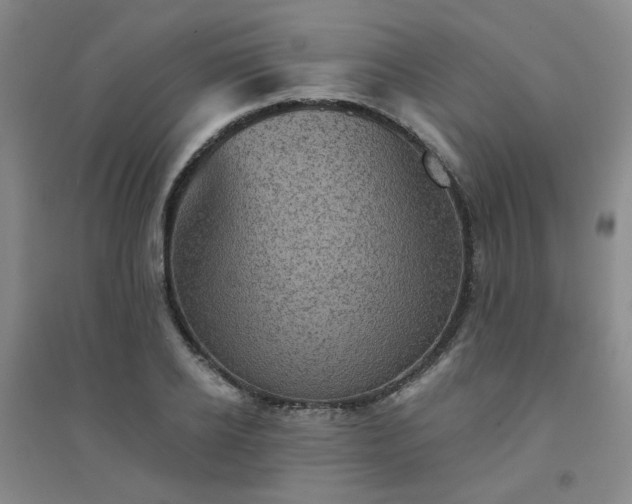X0000094420934200711151317