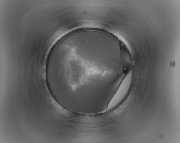X0000094420935200711151317