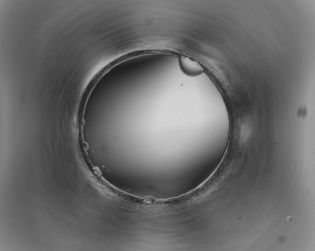 X0000094420936200711151317