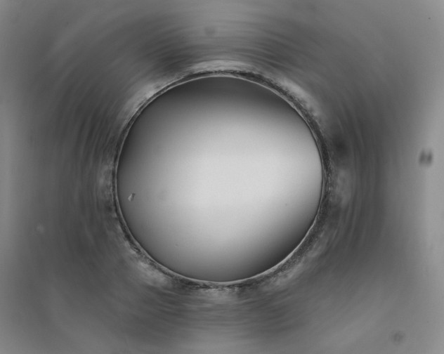 X0000094420937200711151317