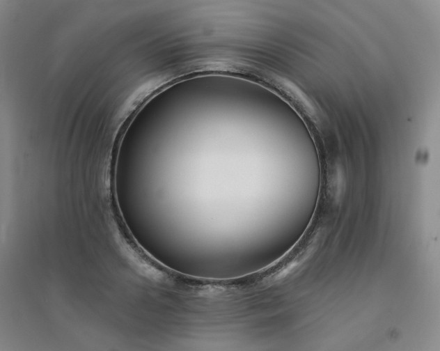 X0000094420938200711151317