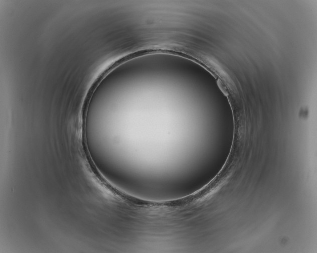 X0000094420940200711151317