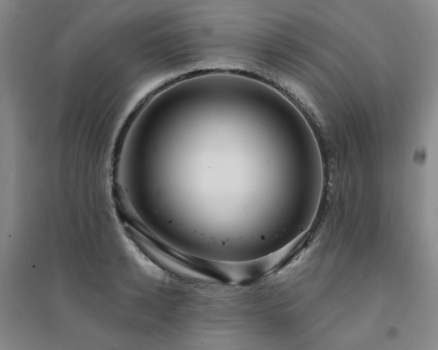 X0000094420942200711151317