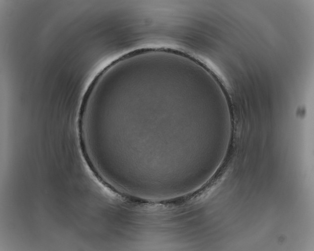 X0000094420943200711151317